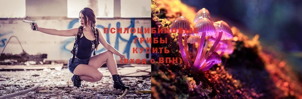 прущий лед Магас
