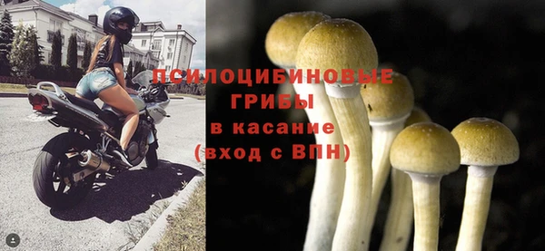 спайс Майский