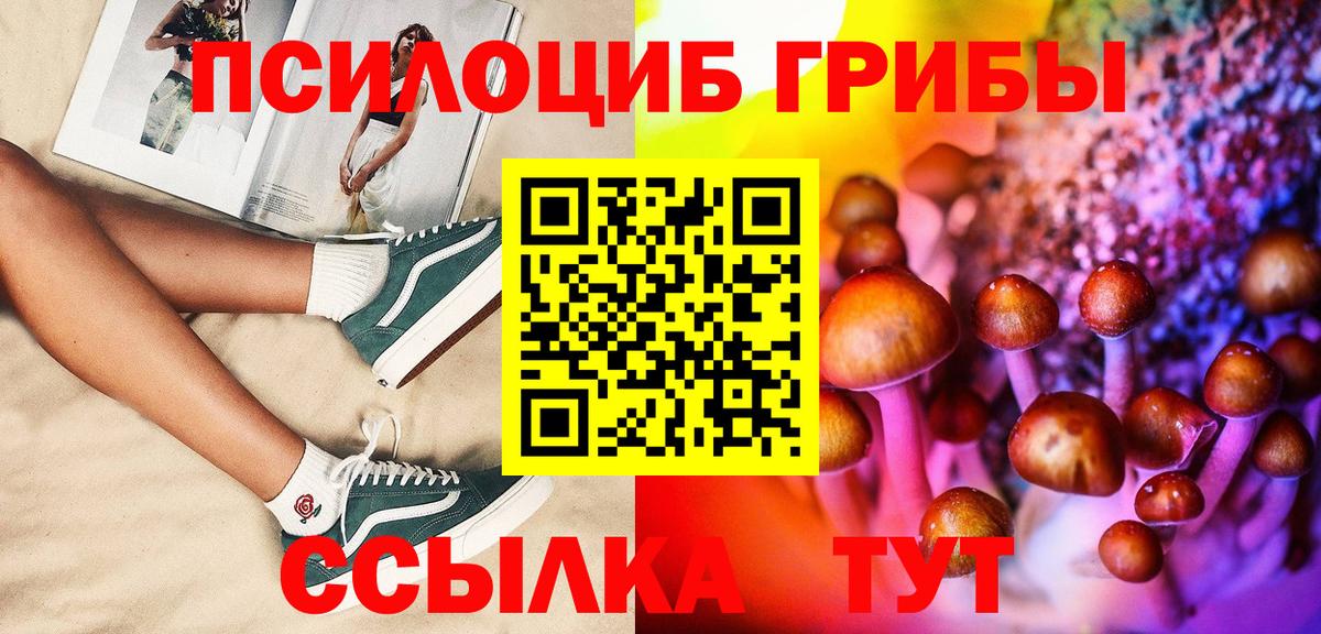 Псилоцибиновые грибы Magic Shrooms Сургут