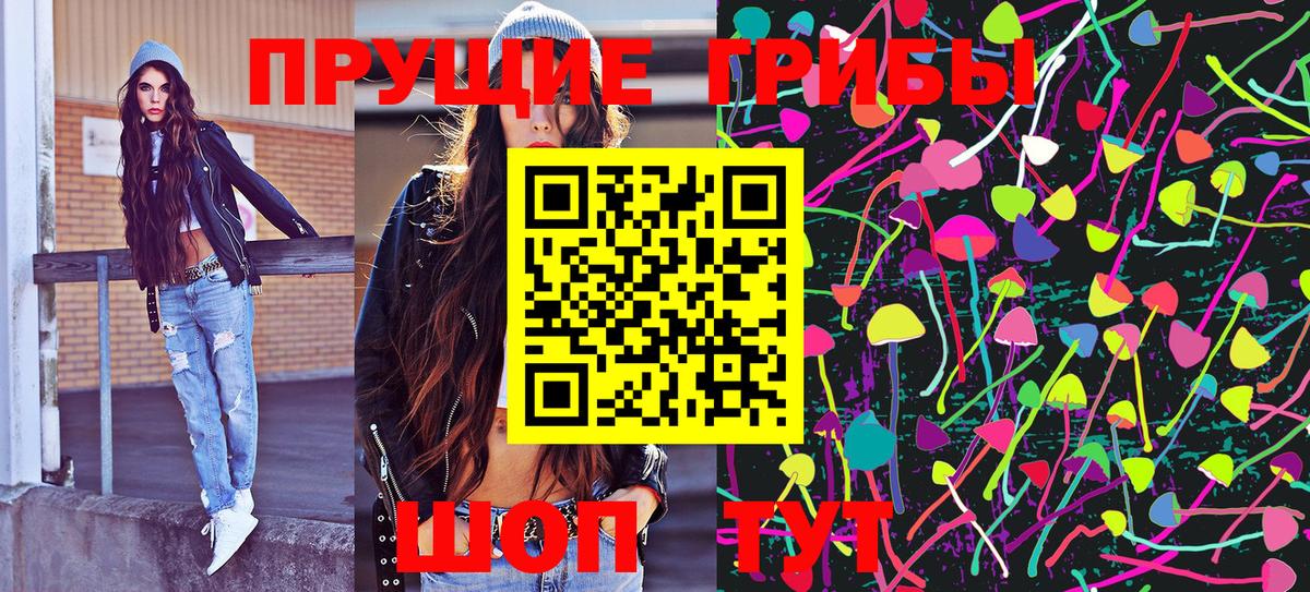 Псилоцибиновые грибы Cubensis  Псилоцибиновые грибы мицелий  Сургут 