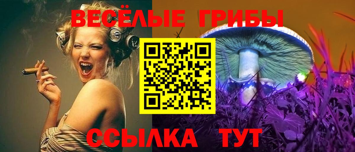Псилоцибиновые грибы Magic Shrooms Сургут