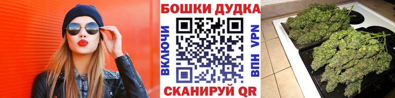 где можно купить наркотик Сургут Шишки марихуана марихуана