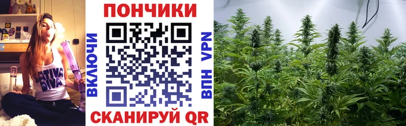 Бошки марихуана сатива Сургут